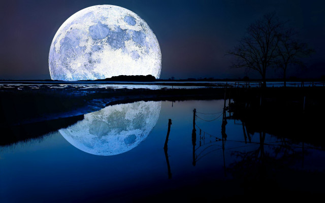 Full moon reflection bamboo night free wallpaper - medium preview image