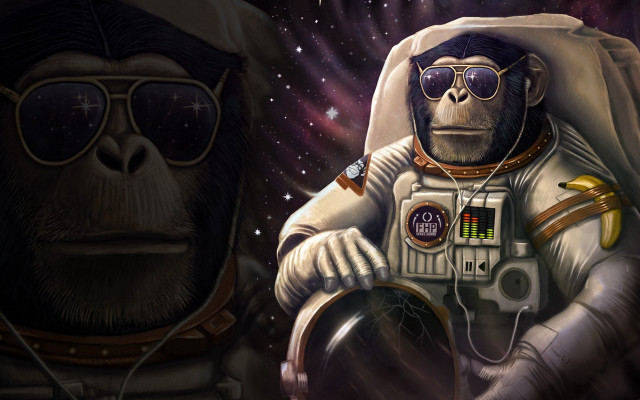Monkey space suit sunglasses astronaut #2 free wallpaper - medium preview image