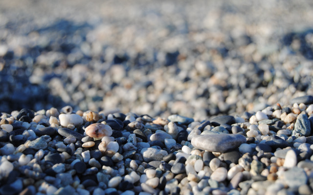 Rocks gravel blue flower bokeh #2 free wallpaper - medium preview image