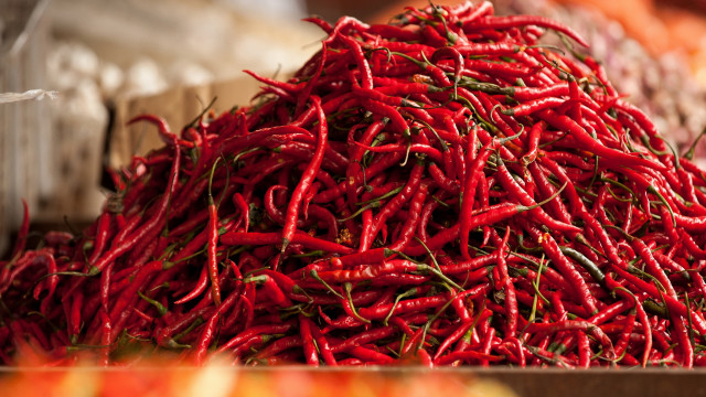 Red peppers autumn flame mountain free wallpaper - medium preview image