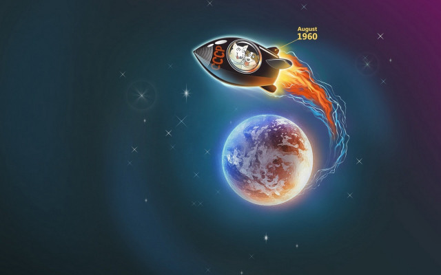 Space shuttle earth rocket star free wallpaper - medium preview image