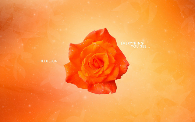 Yellow rose abstract illusion moon free wallpaper - medium preview image