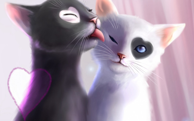 Black white cats heart closed free wallpaper - medium preview image
