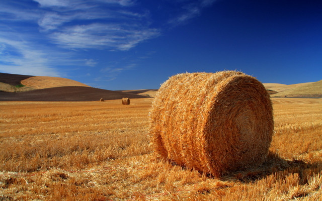 Hay bale wheat hills blue free wallpaper - medium preview image