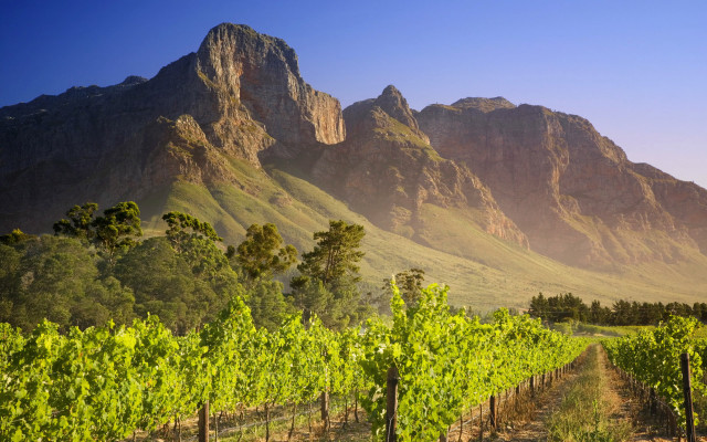 Vineyard mountains blue sky clouds free wallpaper - medium preview image
