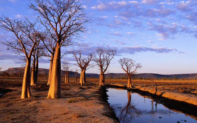 Trees river autumn leaves bush free wallpaper - medium preview image