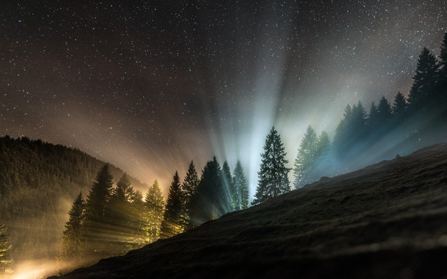 Night sky forest trees lights free wallpaper - medium preview image