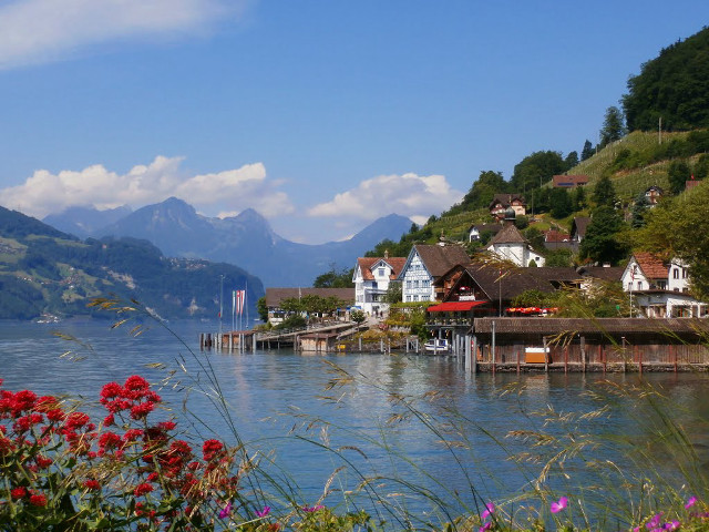 Lake shore houses mountains flowers free wallpaper - medium preview image