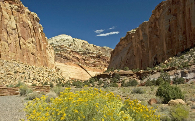 Rocky canyon yellow flowers blue free wallpaper - medium preview image
