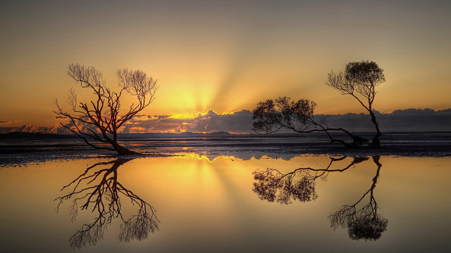 Sunset trees water clouds reflections free wallpaper - medium preview image