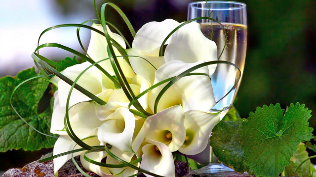 Wine flower vase bottle lyco free wallpaper - medium preview image