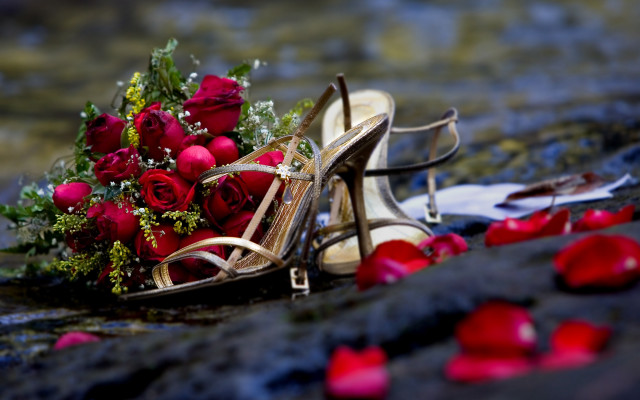 Romantic roses shoes bouquet bokeh free wallpaper - medium preview image