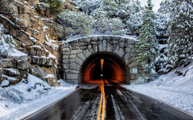 Winter tunnel snow forest road free wallpaper - medium preview image