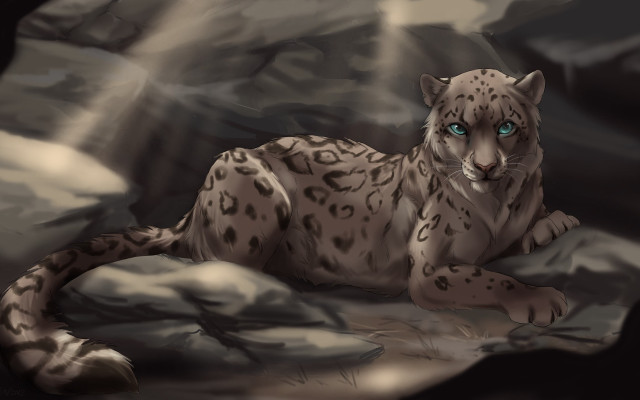 Snow leopard blue eyes rock free wallpaper - medium preview image