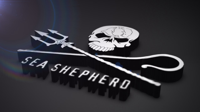 Sea shepherd logo skull arrow free wallpaper - medium preview image