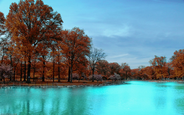 Autumn lake forest ducks blue free wallpaper - medium preview image