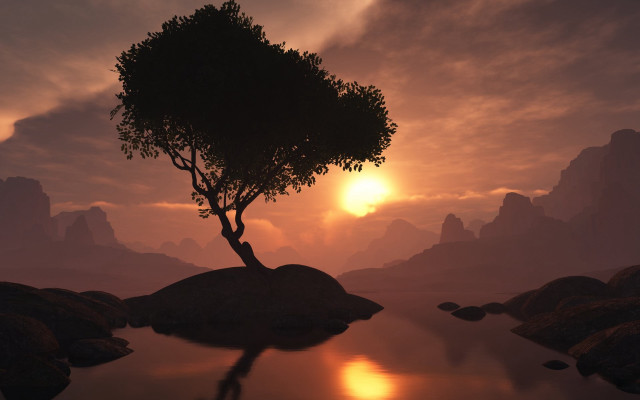 Tree rock water sunset reflection free wallpaper - medium preview image