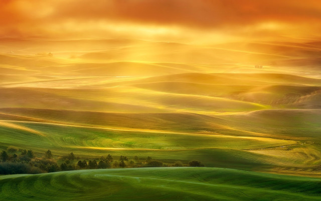 Green field trees sunset clouds free wallpaper - medium preview image
