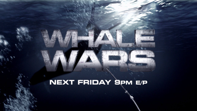 Shark whale wars poster next free wallpaper - medium preview image