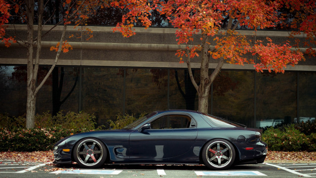 Black sports car autumn leaves #2 free wallpaper - medium preview image