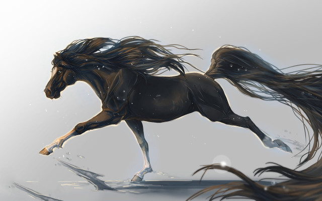 Horse longhair running field snow free wallpaper - medium preview image