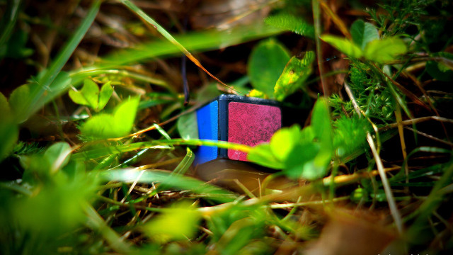 Toy block grass red blue free wallpaper - medium preview image