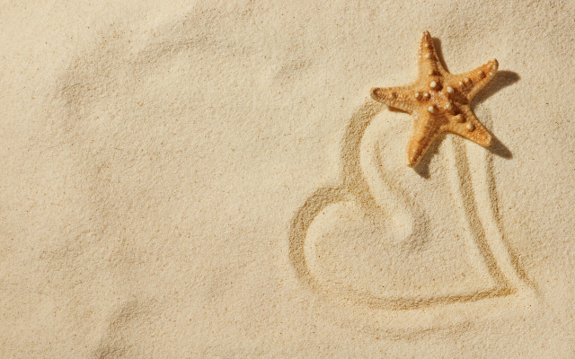 Starfish sand heart beach magic free wallpaper - medium preview image