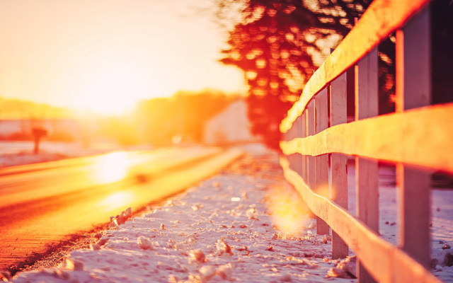Snowy road bench sunset flower free wallpaper - medium preview image
