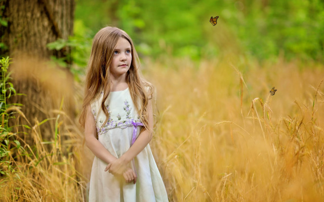Girl butterfly field blonde dress free wallpaper - medium preview image