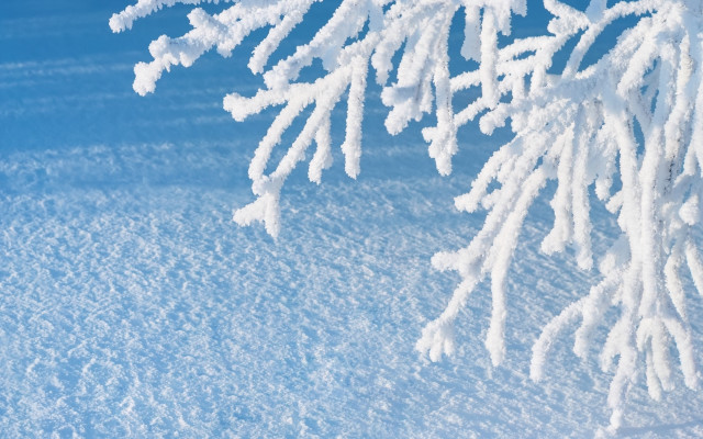 Snowboarder winter scene blue sky free wallpaper - medium preview image