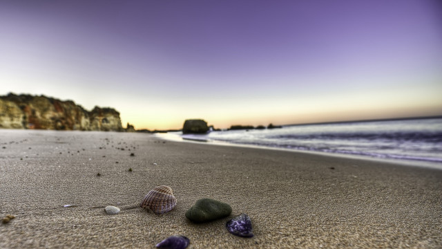 Beach rocks shells cliff purple free wallpaper - medium preview image