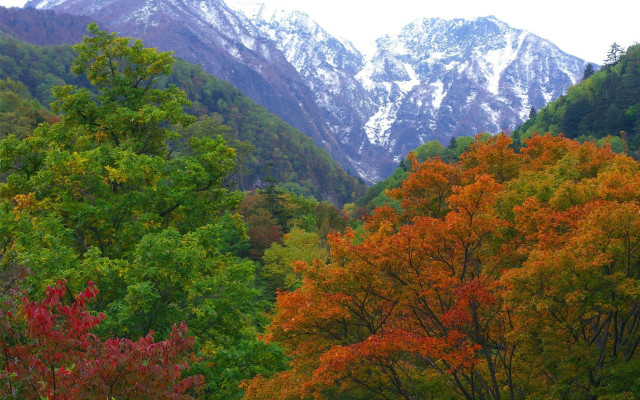 Mountain range trees snow bench free wallpaper - medium preview image