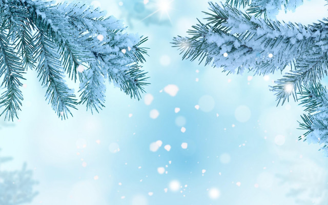 Blue christmas snow pine fireworks free wallpaper for desktop - medium preview image