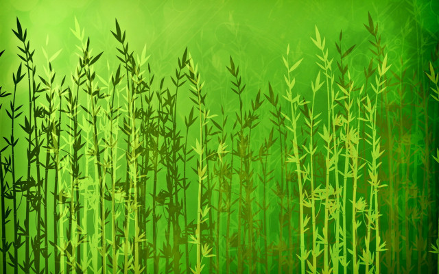 Bamboo forest green background matte free wallpaper - medium preview image