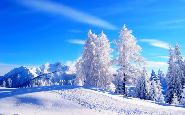 Snowy landscape trees mountains blue #6 free wallpaper - medium preview image