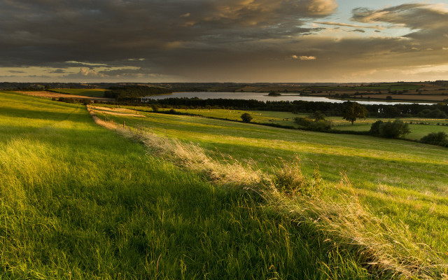 Grassy field river clouds evening free wallpaper - medium preview image