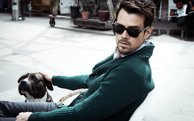 Man dog sunglasses green sweater #2 free wallpaper - medium preview image