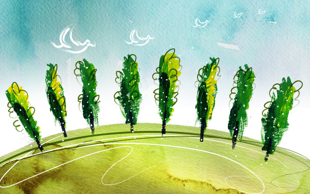 Soccer field trees birds environmental free wallpaper - medium preview image