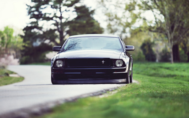 Black mustang road trees person free wallpaper - medium preview image