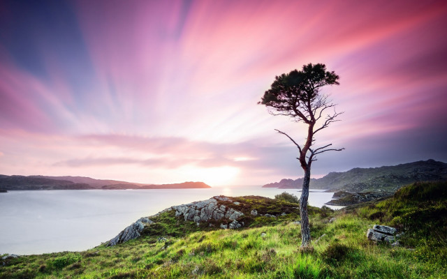Lone tree grassy hill lake #2 free wallpaper - medium preview image