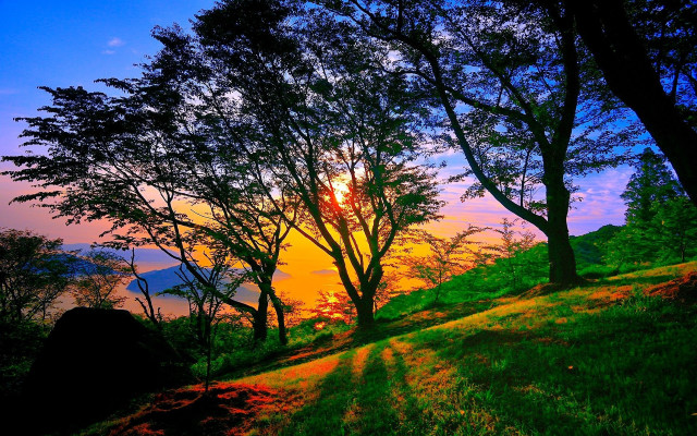 Sunset grassy hill trees water free wallpaper - medium preview image