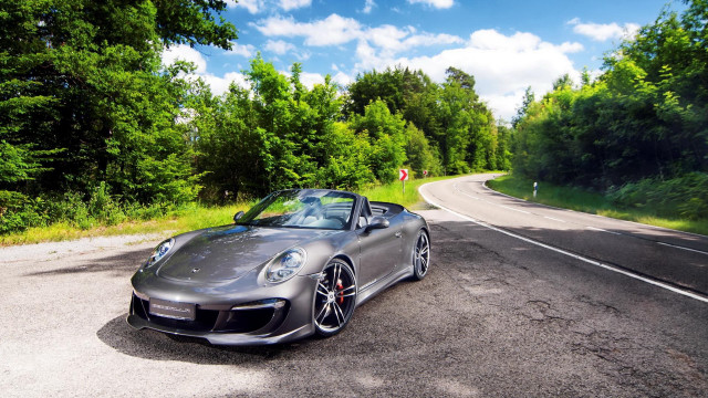 Silver sports car woods blue free wallpaper - medium preview image