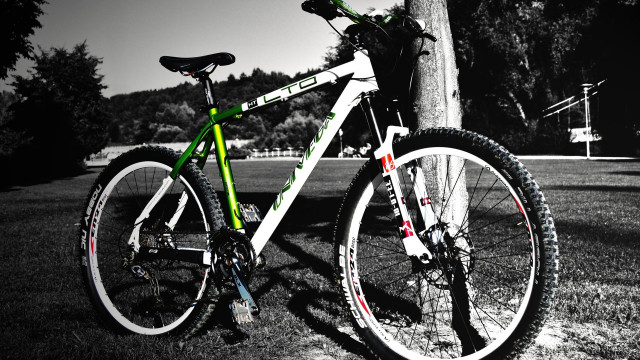 Bike tree park bench telephone free wallpaper - medium preview image