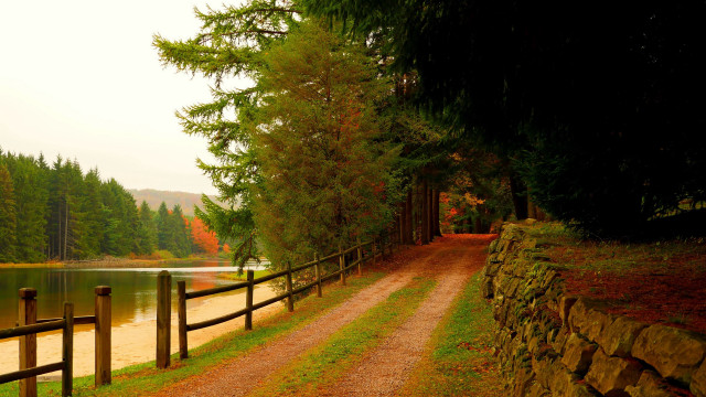 Dirt lake trees fence path free wallpaper - medium preview image