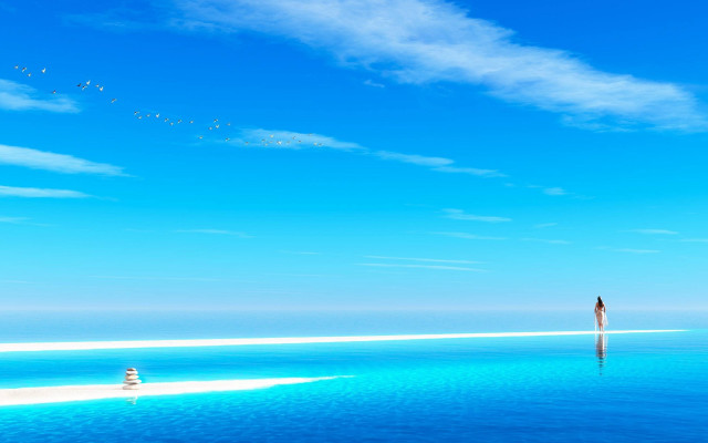 Lone person water sky birds free wallpaper - medium preview image