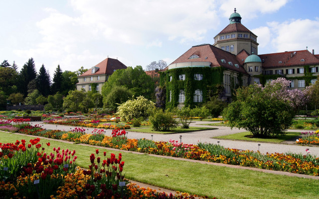 Heidelberg tower garden autumn vivid free wallpaper - medium preview image