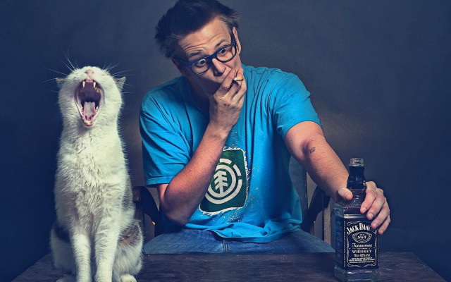 Man sitting table cat beer free wallpaper - medium preview image