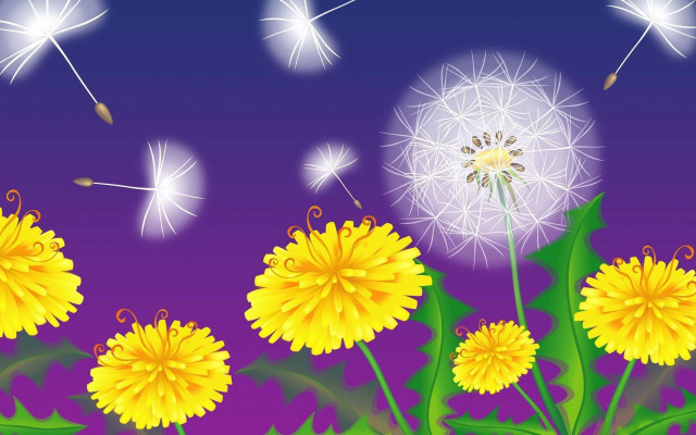 Dandelion seeds purple sky summer free wallpaper - medium preview image