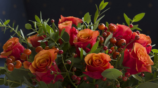 Orange roses leaves berries stilllife free wallpaper - medium preview image