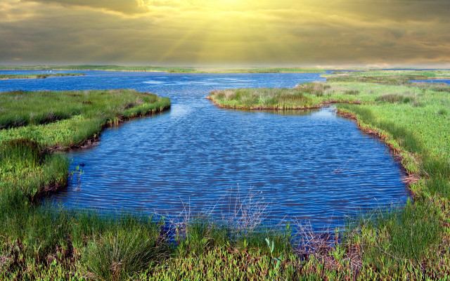 River grassy bank sunny landscape free wallpaper - medium preview image